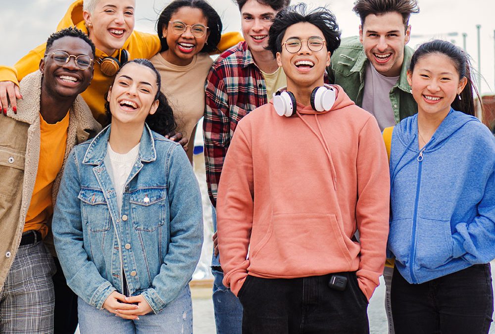 Pratiques du marketing politique numérique/microciblage des partis